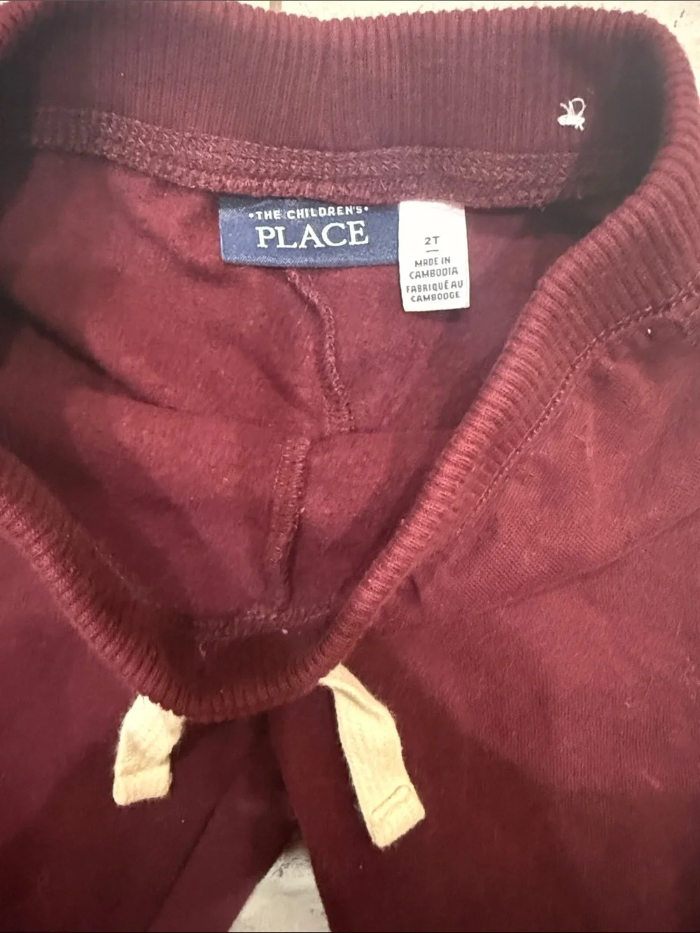 The Children's Place Burgundy Jogger Pants with Navy Stripes